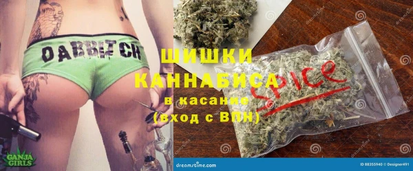 дживик Горнозаводск