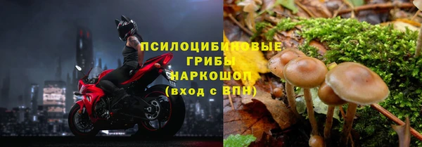 дживик Горнозаводск