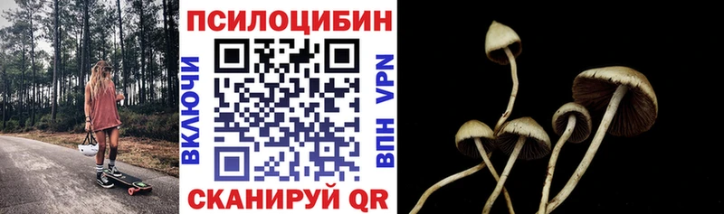 Псилоцибиновые грибы прущие грибы  цена   Москва 