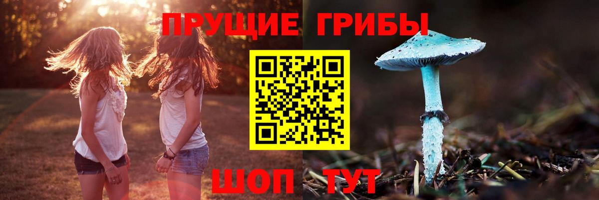 Галлюциногенные грибы Psilocybine cubensis  Галлюциногенные грибы GOLDEN TEACHER  Вход с VPN  Москва 